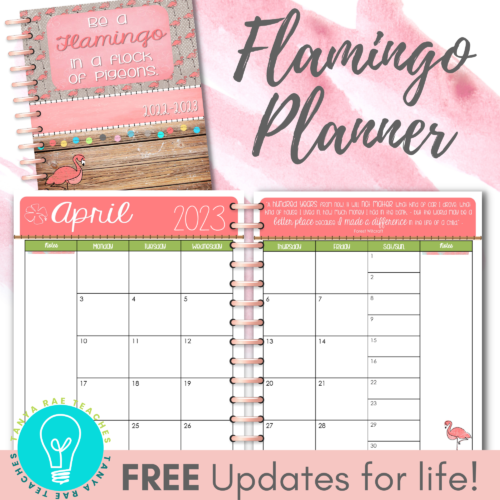 Editable Teacher Planner Flamingo